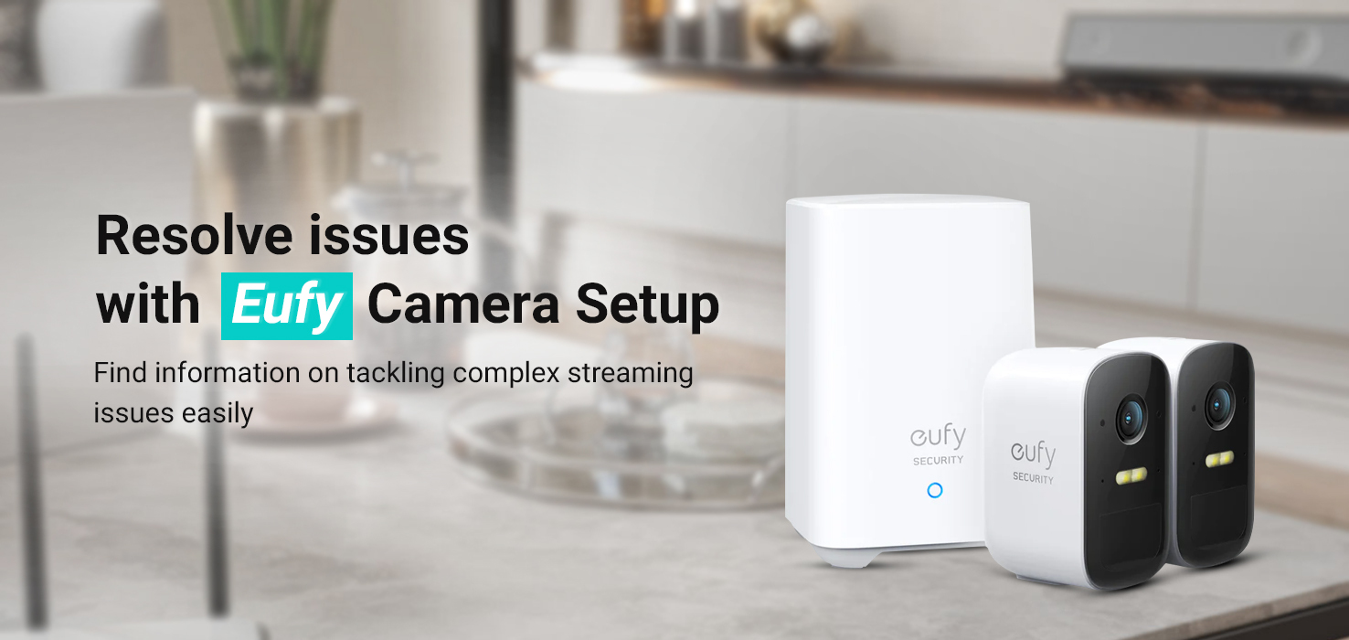 Eufy security cameras suddenly start showing live feeds to